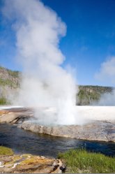 Yellowstone National Park